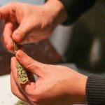 Americans Use Marijuana At Nearly The Same Rate In Legal And Non-Legal States, Suggesting Criminalization Doesn’t ‘Curtail’ Consumption, Gallup Poll Finds