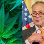 Senators Will ‘Do Our Best’ To Pass Marijuana Banking Bill ‘In A Bipartisan Way,’ Schumer Says