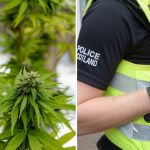 Pensioner arrested after £3.2 million cannabis farm discovered in Scottish town