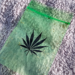 Another suspect charged for 56 pounds of weed at campground