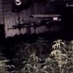 Watch: Police cut their way into Yorkshire snooker hall and find £1.4m cannabis farm