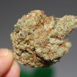 Illinois House Committee Approves Bill To Prevent Police From Using Marijuana Smell To Justify Vehicle Stops