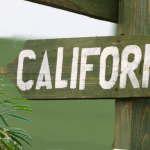 State Proposes New Cannabis Pesticide Limits, Public Comment Open Through July 28