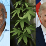 Mike Tyson And Other Celebs Push Trump To Go Further On Marijuana Than Biden By Expanding Clemency And Enacting Rescheduling